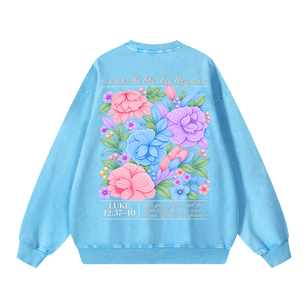 Snow Washed Oversized Sweatshirt