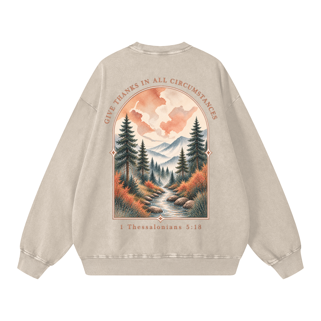 Snow Washed Oversized Sweatshirt