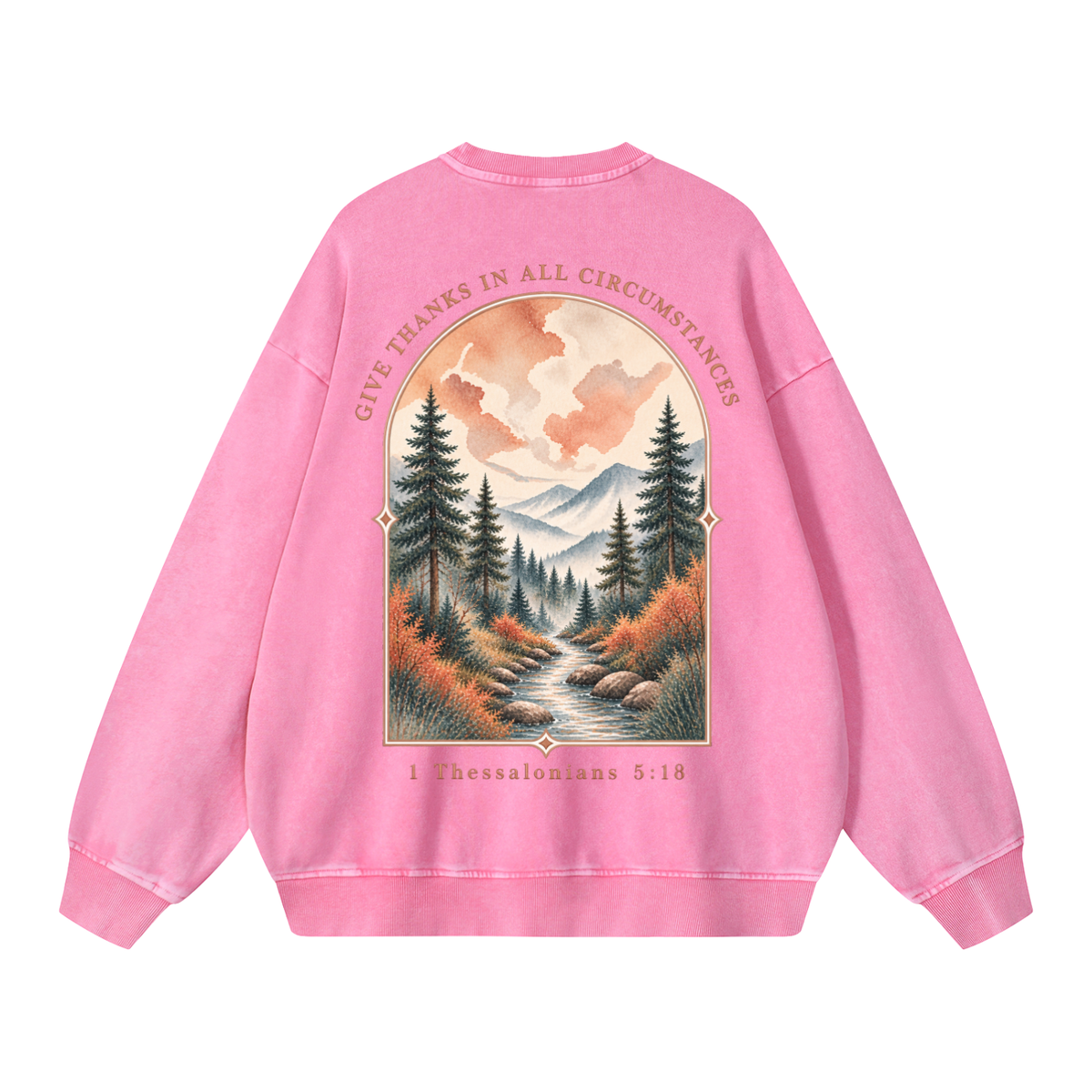 Snow Washed Oversized Sweatshirt