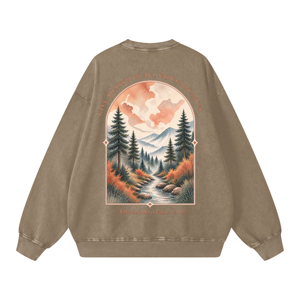 Snow Washed Oversized Sweatshirt