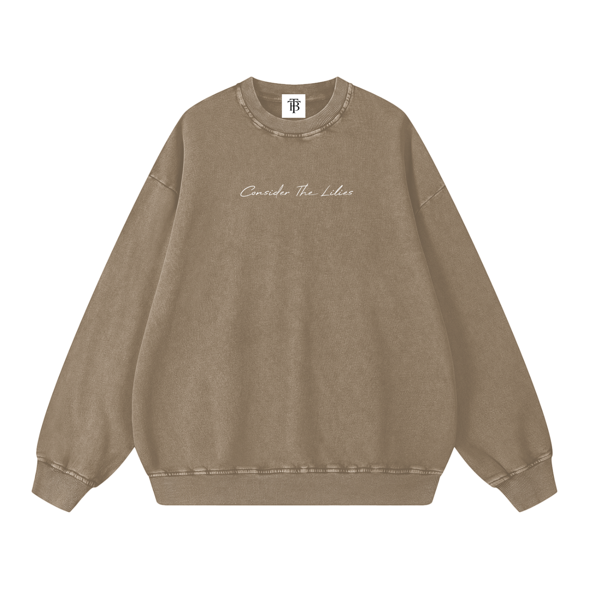 Snow Washed Oversized Sweatshirt