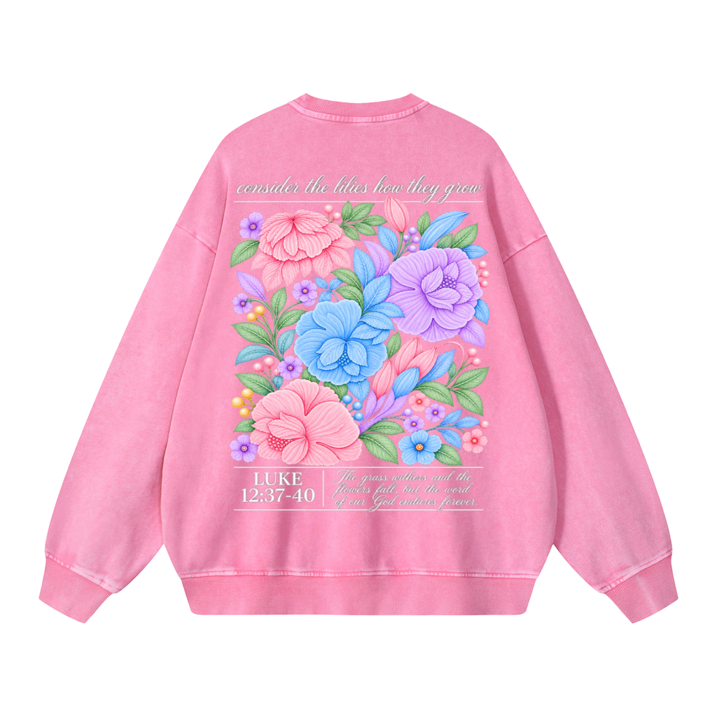 Snow Washed Oversized Sweatshirt